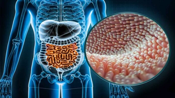 Misteri Mikrobioma: Bagaimana Bakteri Usus Anda Mempengaruhi Kesehatan Mental dan Emosional