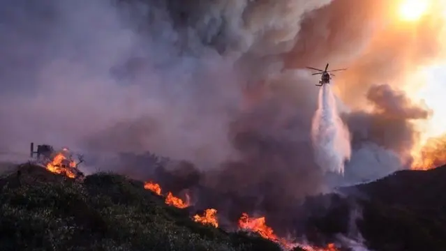 Kebakaran Hutan di Los Angeles Bagi Selebriti